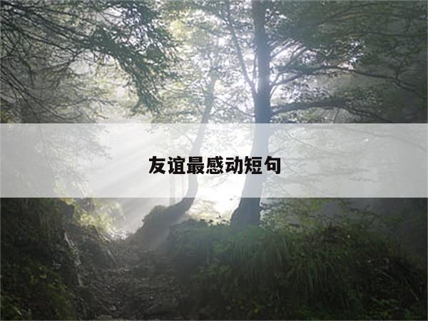 友谊最感动短句