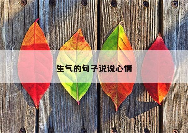 生气的句子说说心情