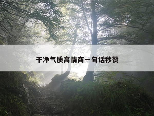 干净气质高情商一句话秒赞