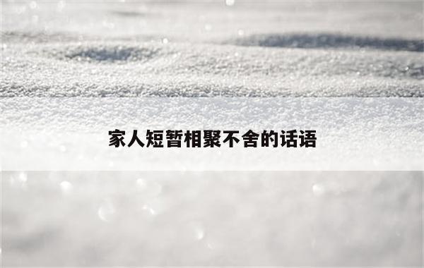 家人短暂相聚不舍的话语