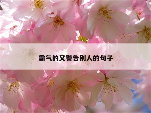 霸气的又警告别人的句子
