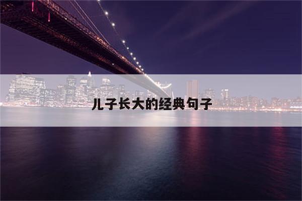 儿子长大的经典句子
