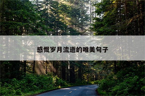 感慨岁月流逝的唯美句子