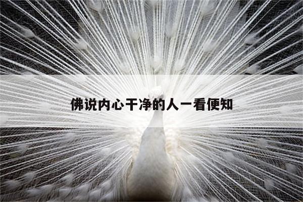 佛说内心干净的人一看便知