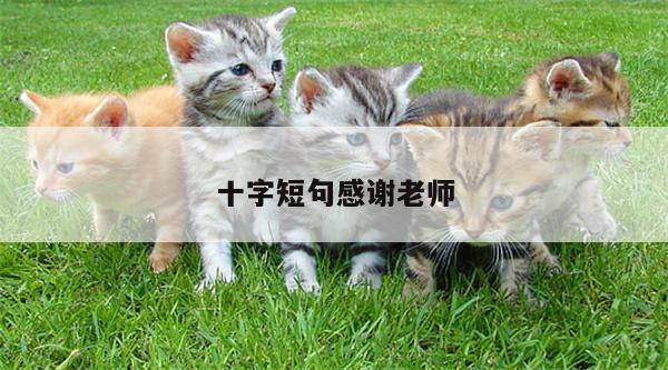 十字短句感谢老师