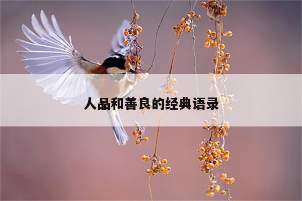 人品和善良的经典语录