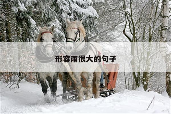 形容雨很大的句子