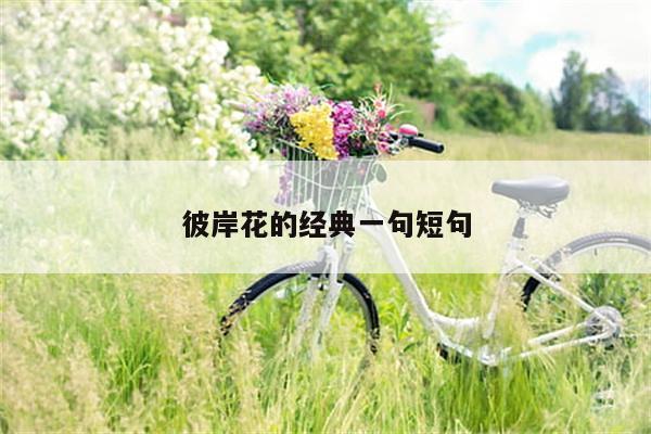 彼岸花的经典一句短句