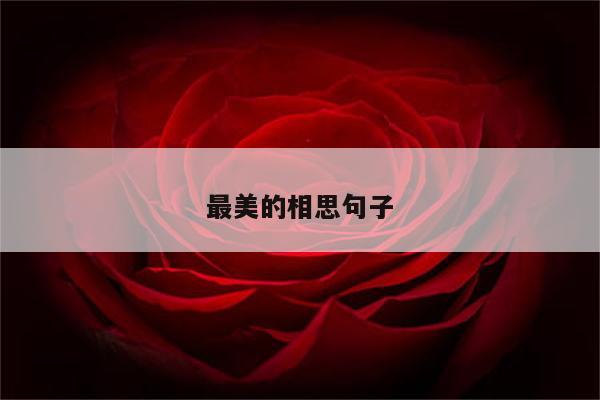 最美的相思句子