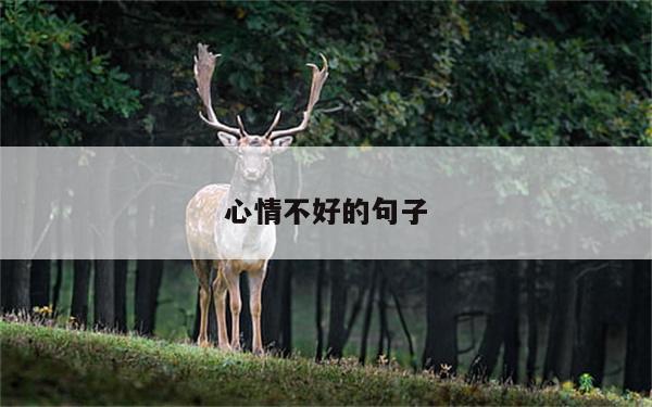 心情不好的句子