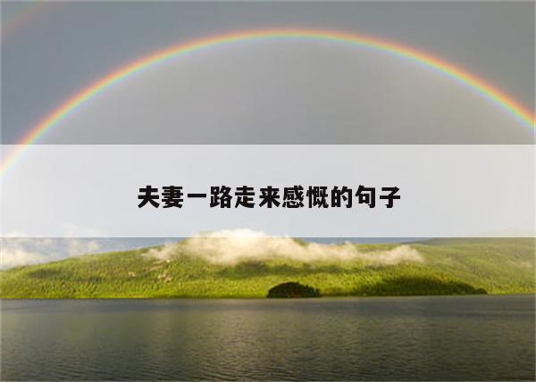 夫妻一路走来感慨的句子