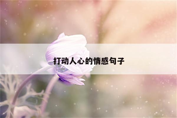 打动人心的情感句子