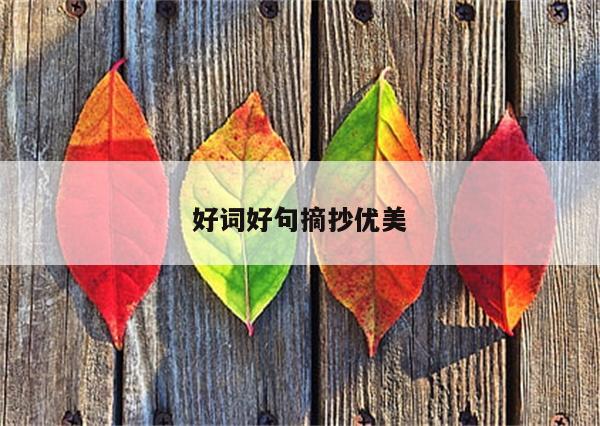好词好句摘抄优美