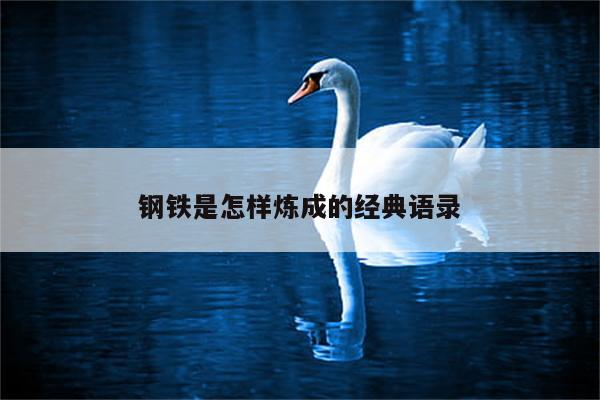 钢铁是怎样炼成的经典语录