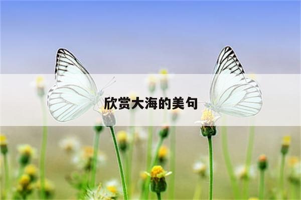 欣赏大海的美句
