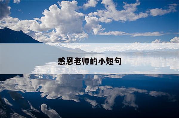 感恩老师的小短句