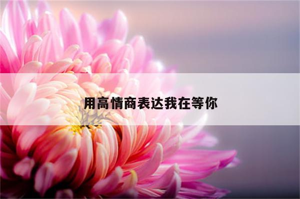 用高情商表达我在等你