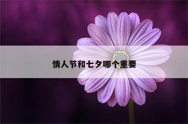 情人节和七夕哪个重要