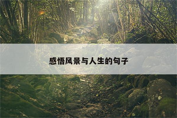 感悟风景与人生的句子