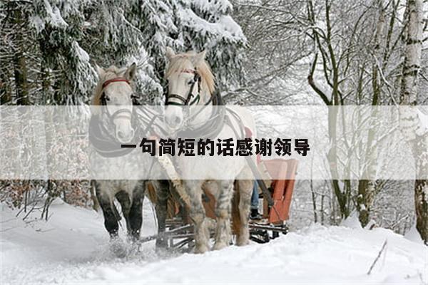 一句简短的话感谢领导