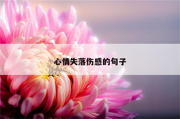 心情失落伤感的句子