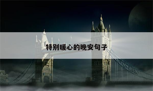 特别暖心的晚安句子