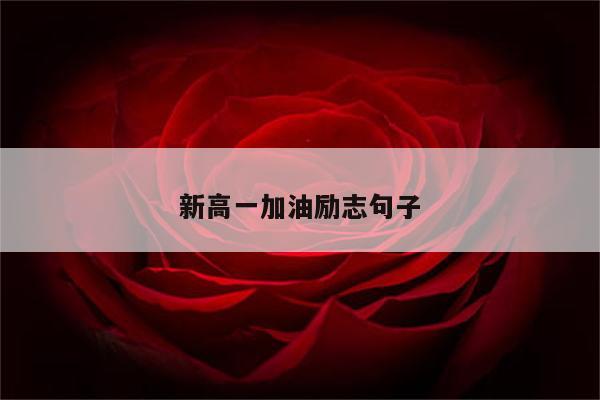 新高一加油励志句子