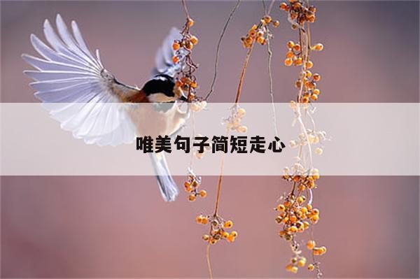 唯美句子简短走心