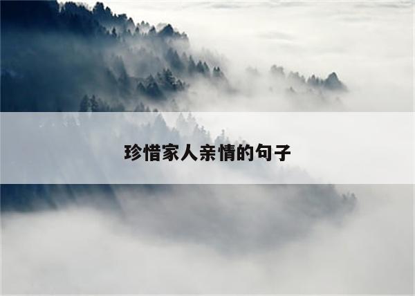 珍惜家人亲情的句子