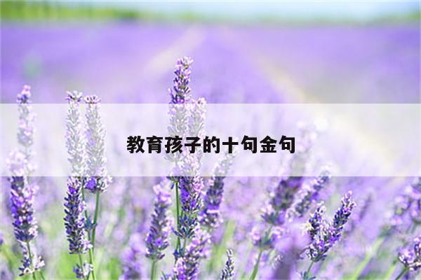 教育孩子的十句金句