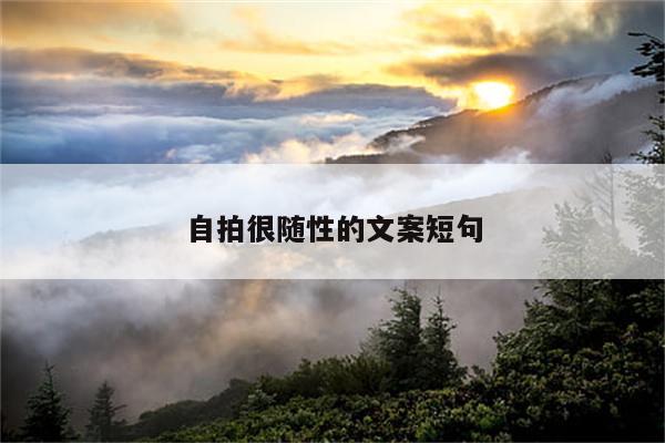 自拍很随性的文案短句