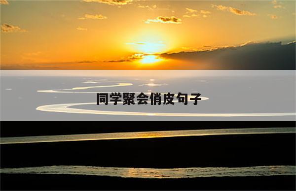 同学聚会俏皮句子
