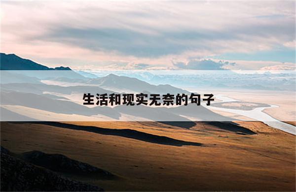 生活和现实无奈的句子
