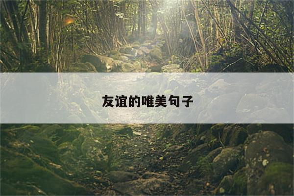友谊的唯美句子