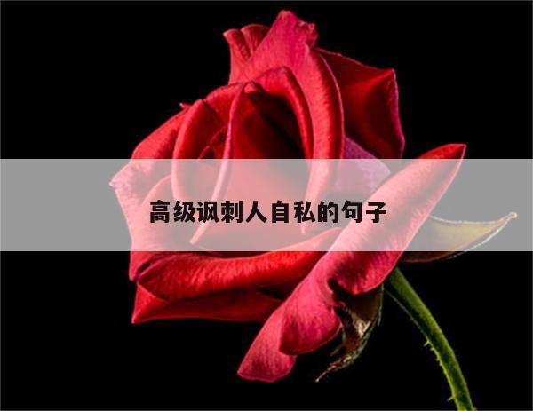 高级讽刺人自私的句子