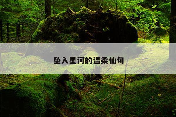 坠入星河的温柔仙句