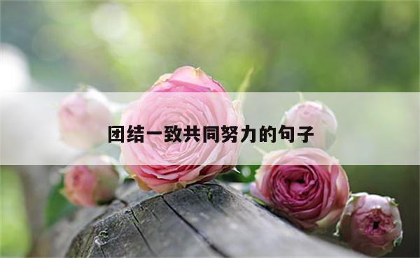 团结一致共同努力的句子