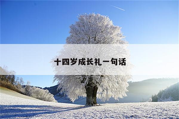 十四岁成长礼一句话
