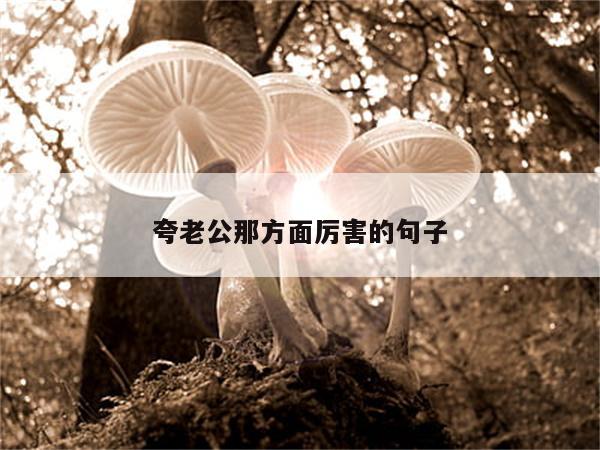 夸老公那方面厉害的句子