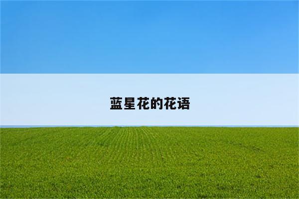 蓝星花的花语