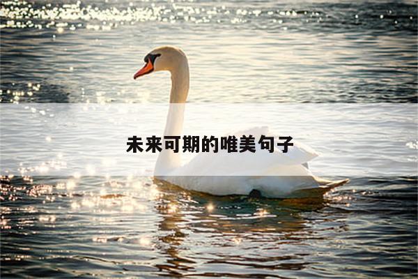 未来可期的唯美句子