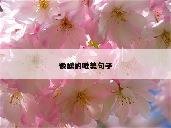 微醺的唯美句子