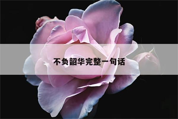 不负韶华完整一句话