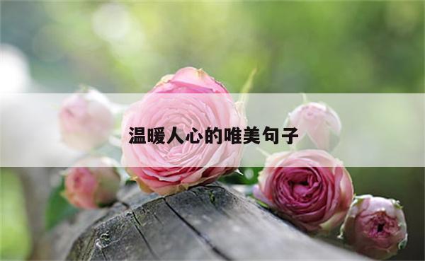温暖人心的唯美句子