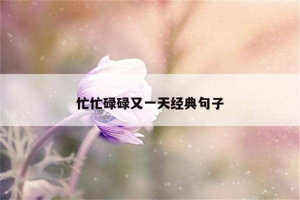 忙忙碌碌又一天经典句子