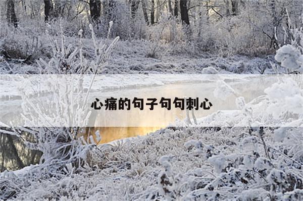 心痛的句子句句刺心