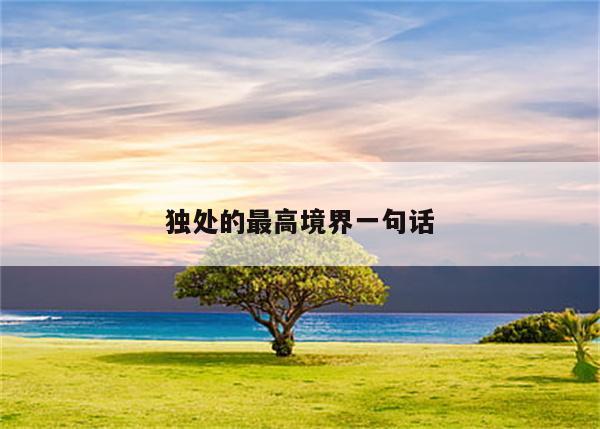 独处的最高境界一句话