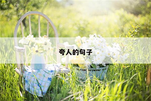 夸人的句子