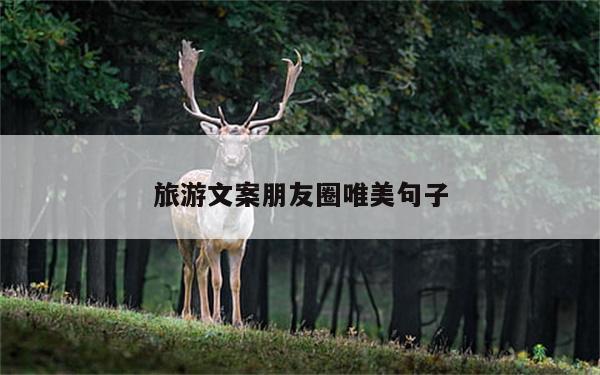 旅游文案朋友圈唯美句子