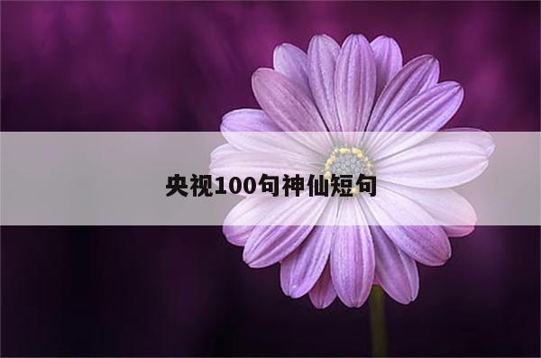 央视100句神仙短句
